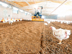 fräse für das zerhacken und mischen des einstreu von geflügelfarmen und kühställe pavo 140