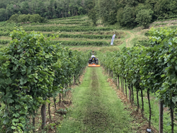 schlegelmulcher mit hammerschlegel und fixanbau 140 cm mod lince 140