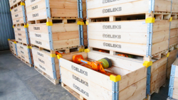 seitenverstellbarer böschungsmulcher mod volpe 140