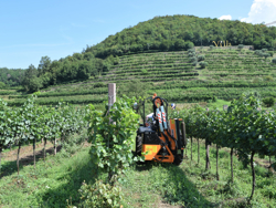 tractor mounted hedge cutter airone 100