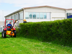 tractor mounted hedge cutter airone 160 tr