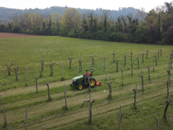 side shift mower 120cm multipurpose mulcher with hammers for tractor lince sp120