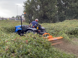 adjustable sideshift flail mower 185cm for 40 70hp tractors shredder mulcher leopard 180 sp