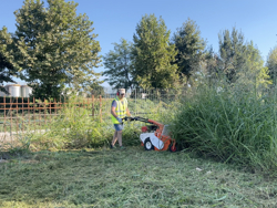 flail mower smart 800