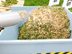 petrol chipper shredder dk 800 lf